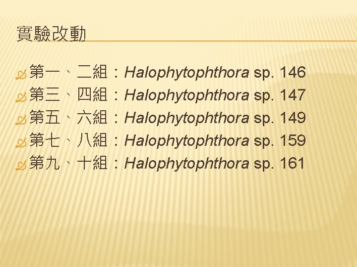 實驗改動 第一、二組：Halophytophthora sp. 146 第三、四組：Halophytophthora sp. 147 第五、六組：Halophytophthora sp. 149 第七、八組：Halophytophthora sp. 159 第九、十組：Halophytophthora