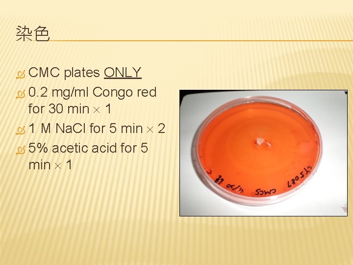 染色 CMC plates ONLY 0. 2 mg/ml Congo red for 30 min 1 1