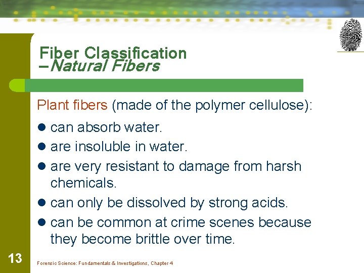 Fiber Classification —Natural Fibers Plant fibers (made of the polymer cellulose): l can absorb