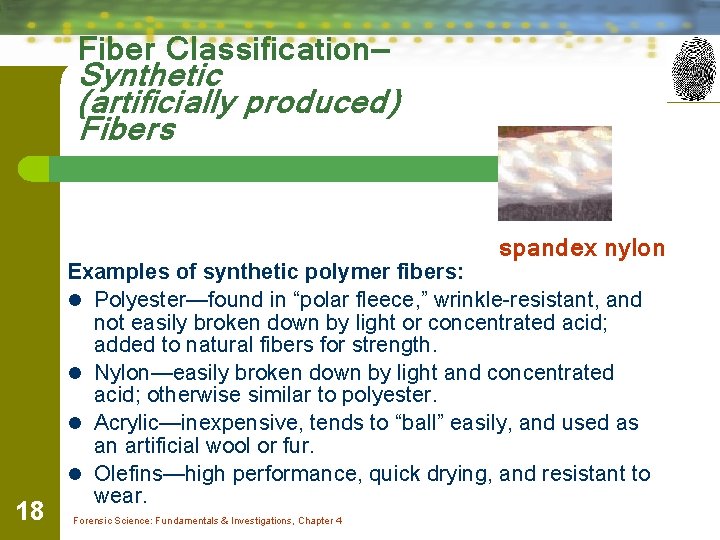 Fiber Classification— Synthetic (artificially produced) Fibers spandex nylon 18 Examples of synthetic polymer fibers: