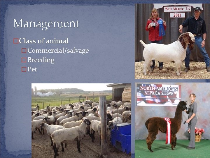 Management �Class of animal �Commercial/salvage �Breeding �Pet 