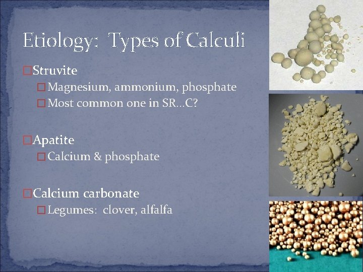 Etiology: Types of Calculi �Struvite �Magnesium, ammonium, phosphate �Most common one in SR…C? �Apatite