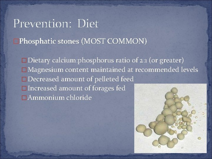 Prevention: Diet �Phosphatic stones (MOST COMMON) �Dietary calcium: phosphorus ratio of 2: 1 (or