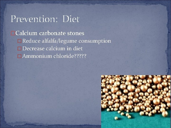 Prevention: Diet �Calcium carbonate stones �Reduce alfalfa/legume consumption �Decrease calcium in diet �Ammonium chloride?