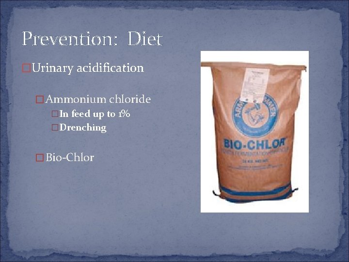 Prevention: Diet �Urinary acidification �Ammonium chloride �In feed up to 1% �Drenching �Bio-Chlor 
