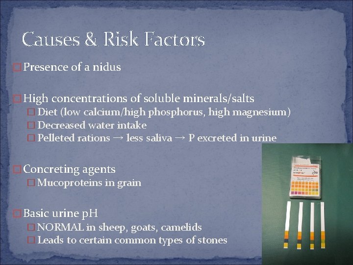 Causes & Risk Factors � Presence of a nidus � High concentrations of soluble
