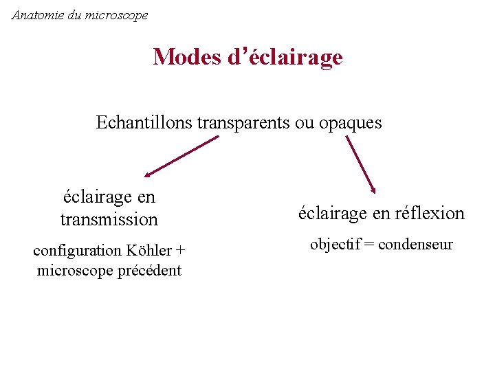 Anatomie du microscope Modes d’éclairage Echantillons transparents ou opaques éclairage en transmission configuration Köhler