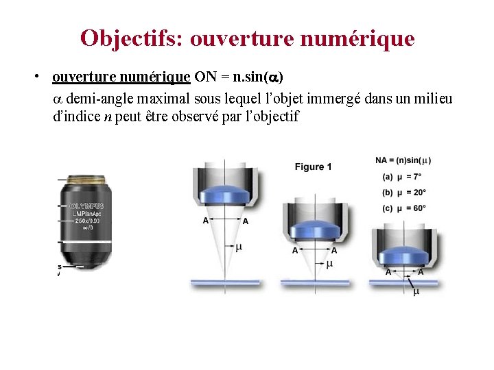Objectifs: ouverture numérique • ouverture numérique ON = n. sin( ) demi-angle maximal sous