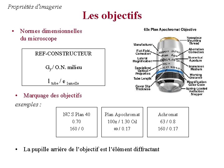 Propriétés d’imagerie Les objectifs • Normes dimensionnelles du microscope REF-CONSTRUCTEUR Gy / O. N.