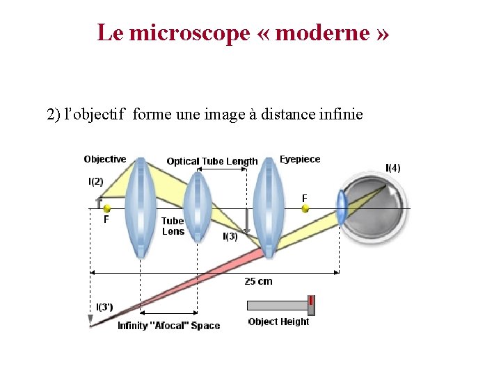 Le microscope « moderne » 2) l’objectif forme une image à distance infinie 