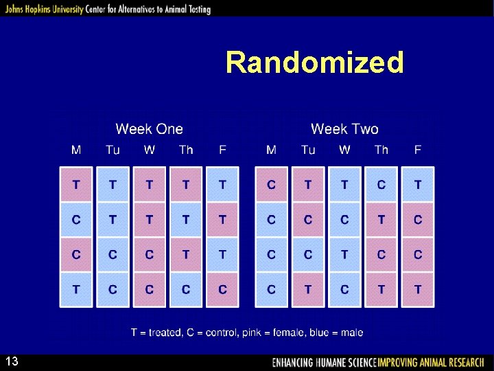 Randomized 13 