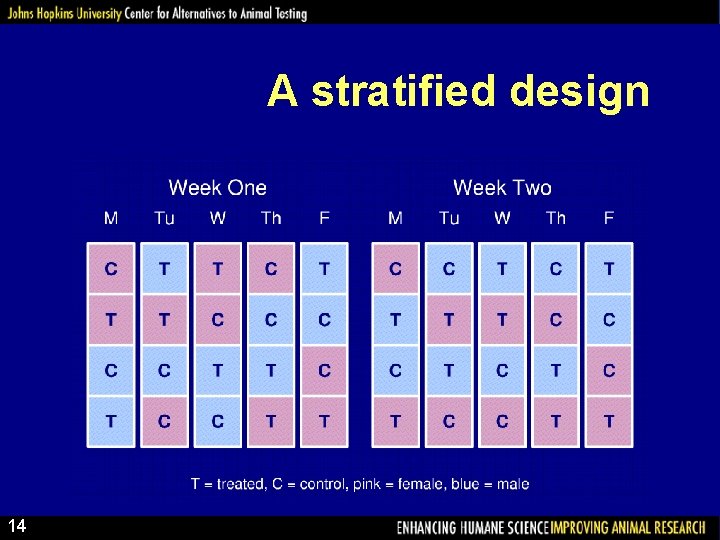 A stratified design 14 