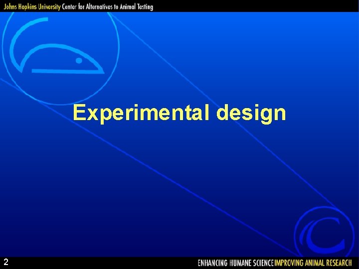 Experimental design 2 