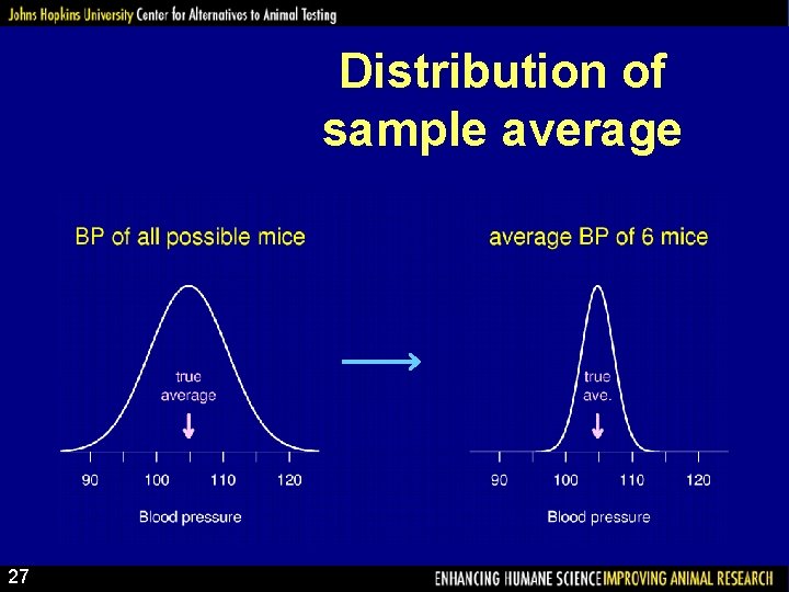 Distribution of sample average 27 