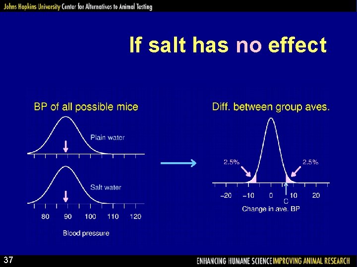 If salt has no effect 37 