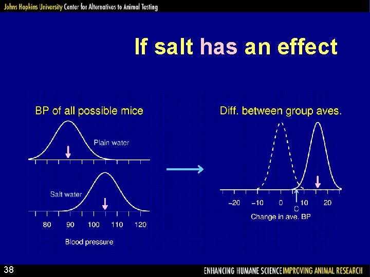 If salt has an effect 38 