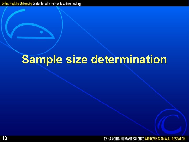 Sample size determination 43 