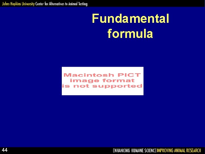 Fundamental formula 44 