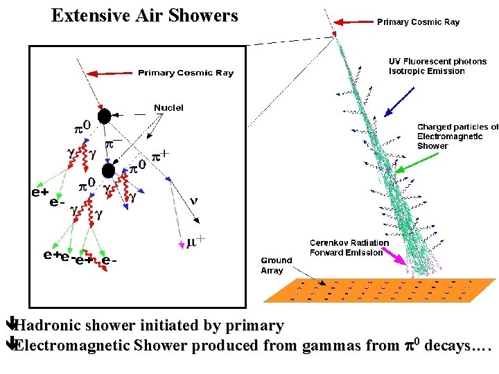 Extensive Air Showers êHadronic shower initiated by primary êElectromagnetic Shower produced from gammas from