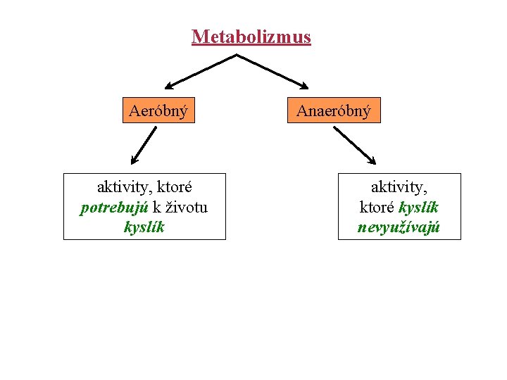 Metabolizmus Aeróbný aktivity, ktoré potrebujú k životu kyslík Anaeróbný aktivity, ktoré kyslík nevyužívajú 