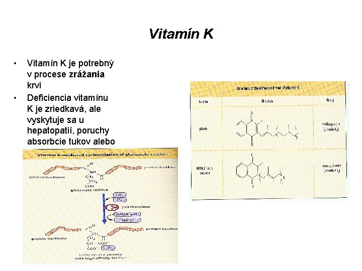 Vitamín K • • Vitamín K je potrebný v procese zrážania krvi Deficiencia vitamínu