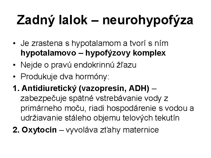 Zadný lalok – neurohypofýza • Je zrastena s hypotalamom a tvorí s ním hypotalamovo