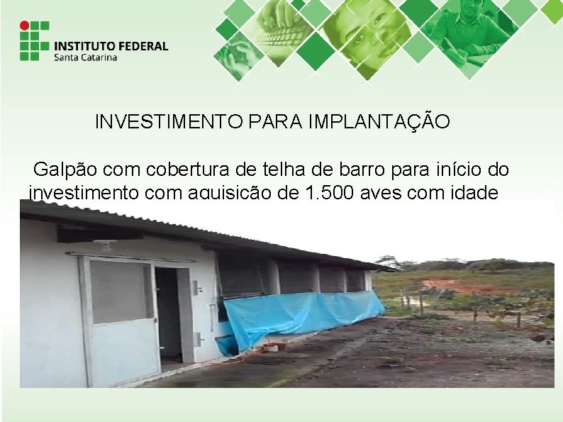  INVESTIMENTO PARA IMPLANTAÇÃO Galpão com cobertura de telha de barro para início do