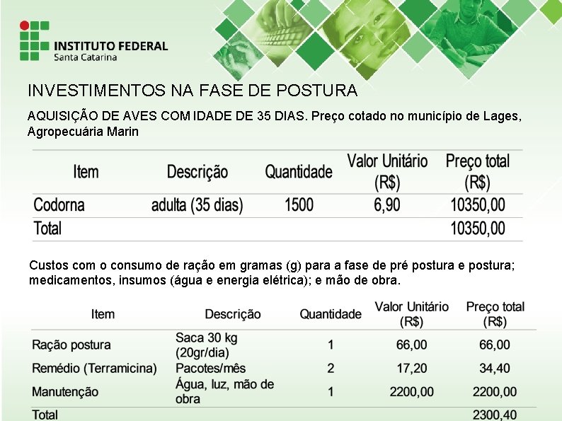 INVESTIMENTOS NA FASE DE POSTURA AQUISIÇÃO DE AVES COM IDADE DE 35 DIAS. Preço
