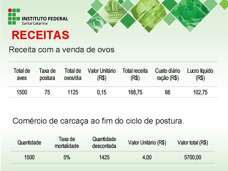 RECEITAS Receita com a venda de ovos Comércio de carcaça ao fim do ciclo