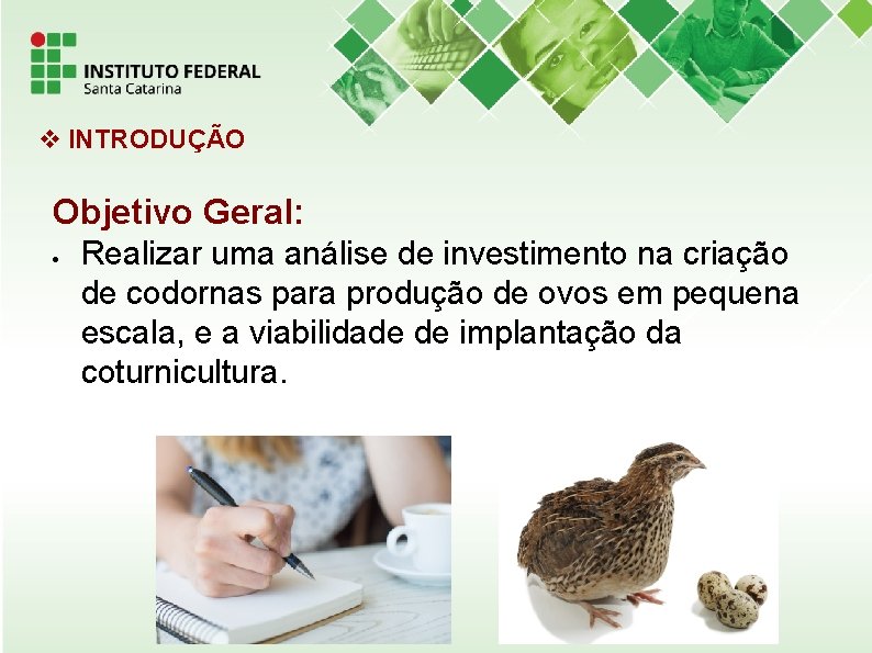  INTRODUÇÃO Objetivo Geral: Realizar uma análise de investimento na criação de codornas para