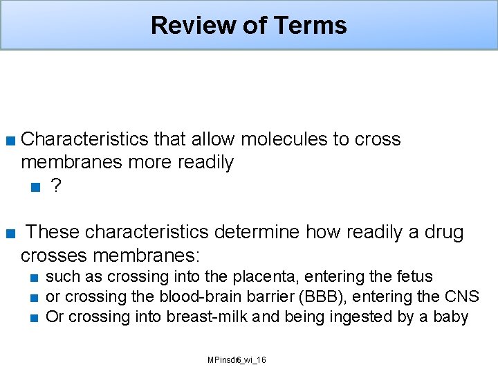 Review of Terms ■ Characteristics that allow molecules to cross membranes more readily ■