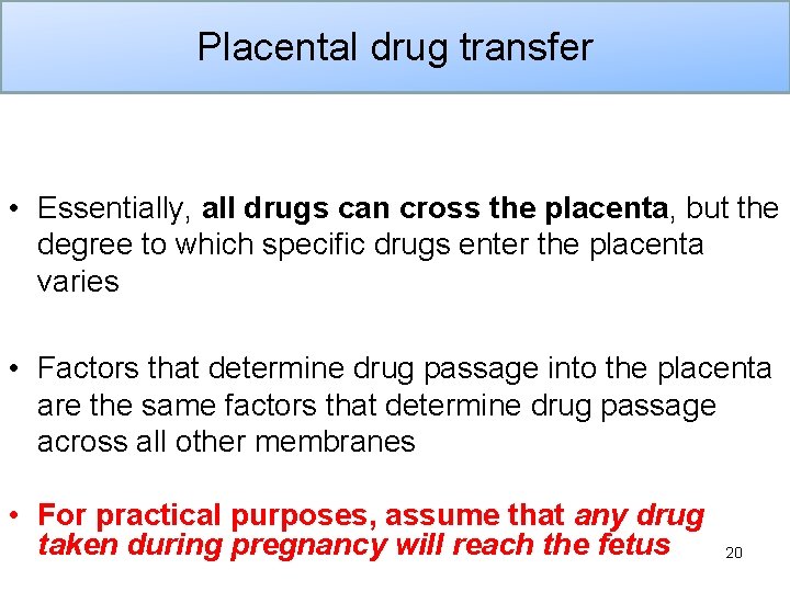 Placental drug transfer • Essentially, all drugs can cross the placenta, but the degree