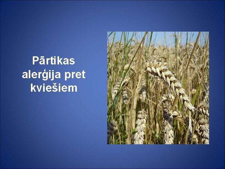 Pārtikas alerģija pret kviešiem 