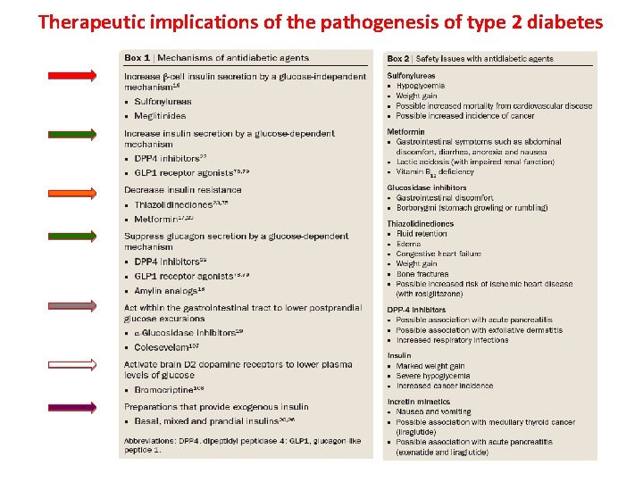 Therapeutic implications of the pathogenesis of type 2 diabetes 