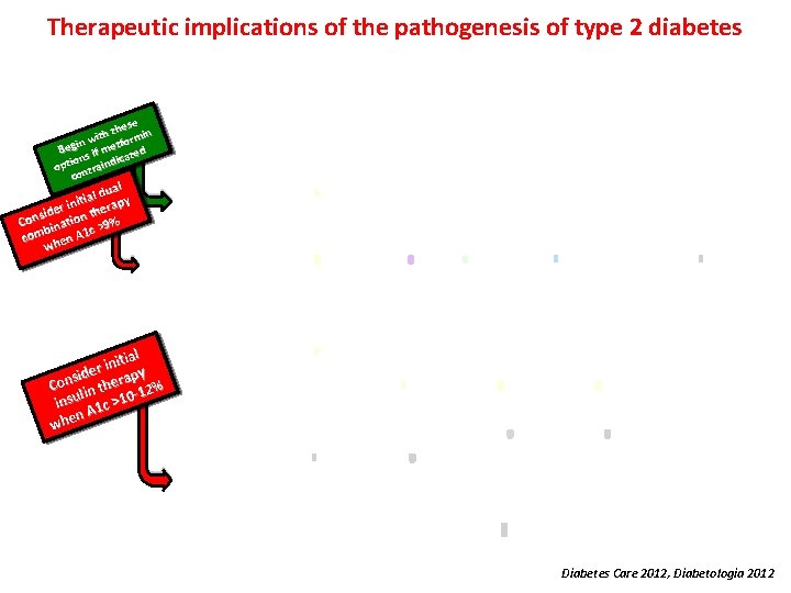 Therapeutic implications of the pathogenesis of type 2 diabetes e thes in h t