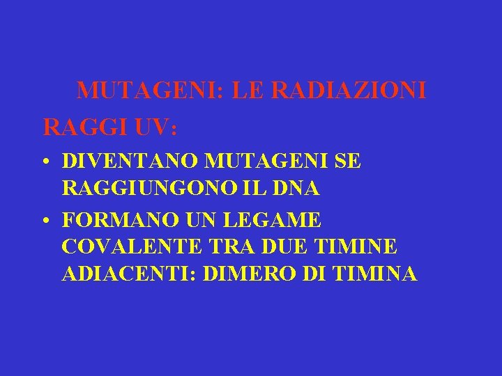 MUTAGENI: LE RADIAZIONI RAGGI UV: • DIVENTANO MUTAGENI SE RAGGIUNGONO IL DNA • FORMANO