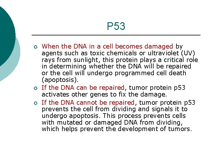 P 53 ¡ ¡ ¡ When the DNA in a cell becomes damaged by