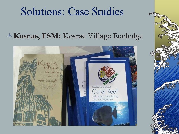 Solutions: Case Studies ©Kosrae, FSM: Kosrae Village Ecolodge 