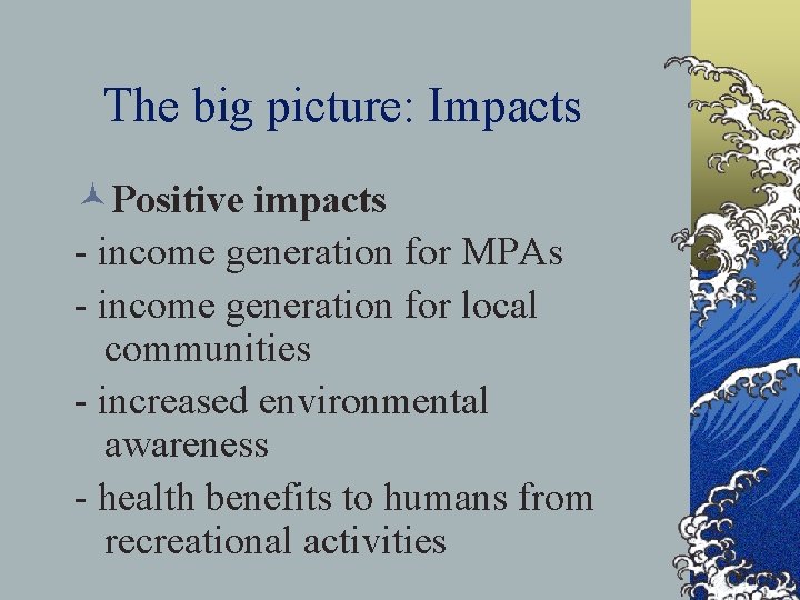 The big picture: Impacts ©Positive impacts - income generation for MPAs - income generation