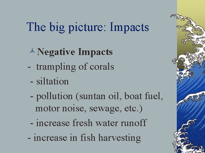 The big picture: Impacts ©Negative Impacts - trampling of corals - siltation - pollution