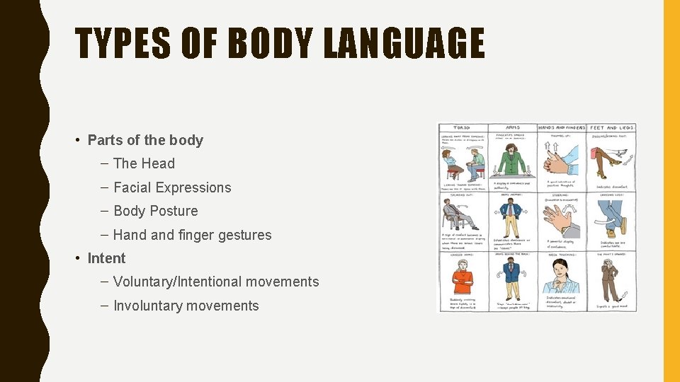TYPES OF BODY LANGUAGE • Parts of the body – The Head – Facial
