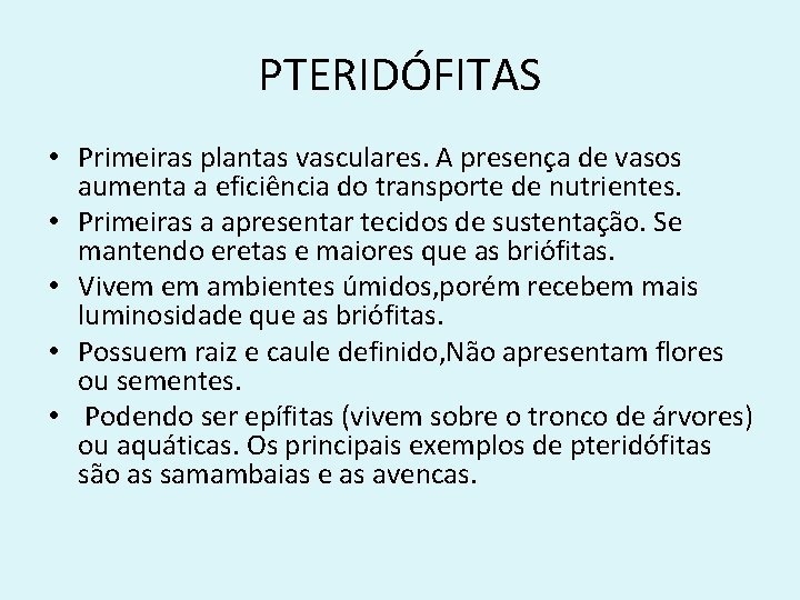 PTERIDÓFITAS • Primeiras plantas vasculares. A presença de vasos aumenta a eficiência do transporte