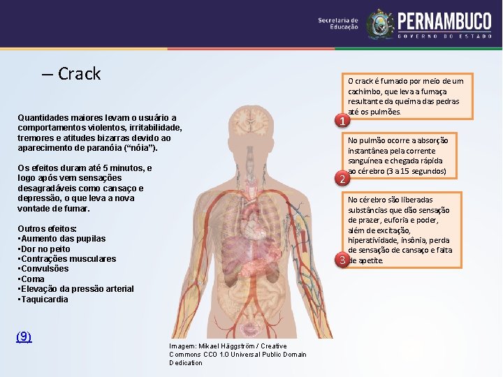 – Crack Quantidades maiores levam o usuário a comportamentos violentos, irritabilidade, tremores e atitudes