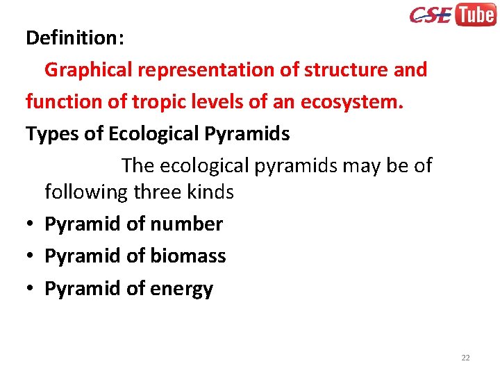 Definition: Graphical representation of structure and function of tropic levels of an ecosystem. Types