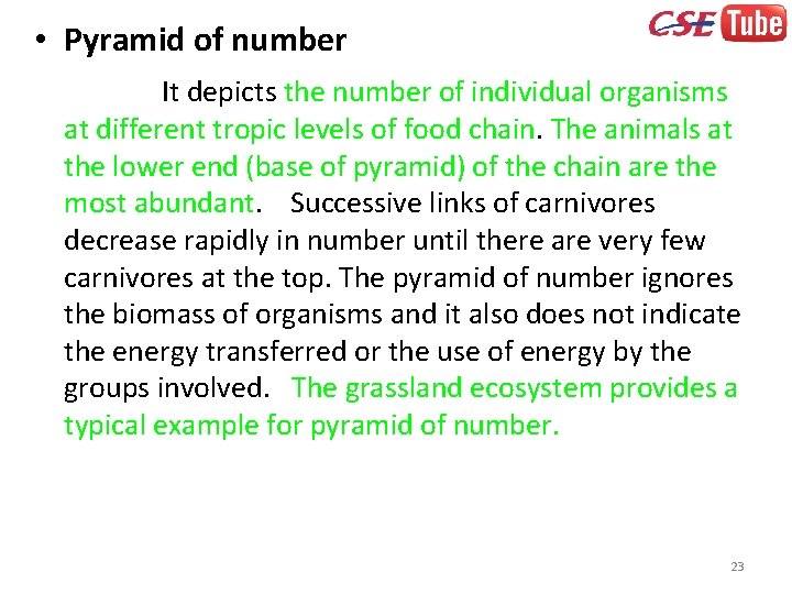  • Pyramid of number It depicts the number of individual organisms at different