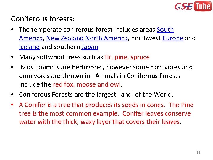 Coniferous forests: • The temperate coniferous forest includes areas South America, New Zealand North