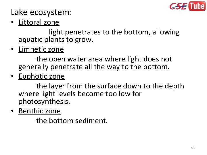 Lake ecosystem: • Littoral zone light penetrates to the bottom, allowing aquatic plants to
