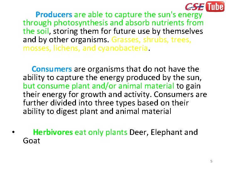 Producers are able to capture the sun's energy through photosynthesis and absorb nutrients from