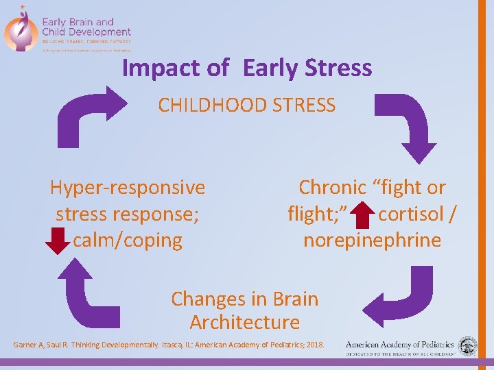 Impact of Early Stress CHILDHOOD STRESS TOXIC STRESS Hyper-responsive stress response; calm/coping Chronic “fight