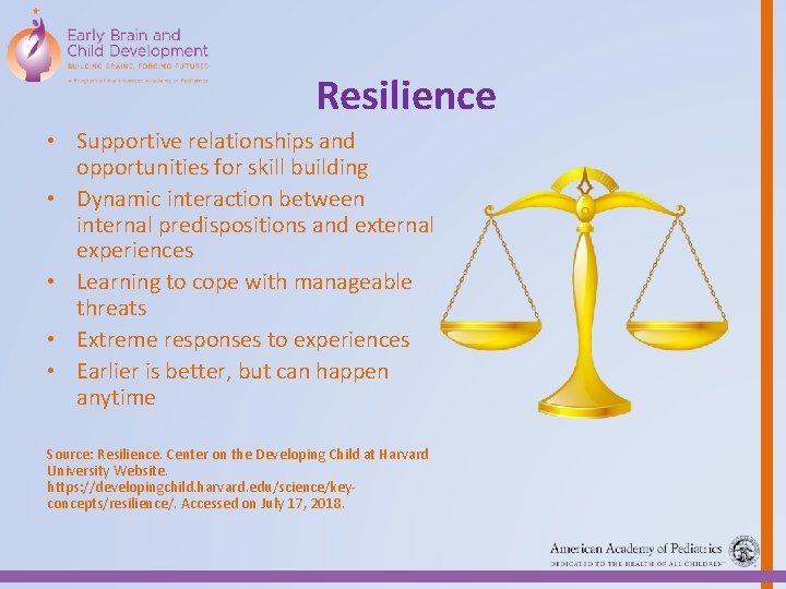 Resilience • Supportive relationships and opportunities for skill building • Dynamic interaction between internal